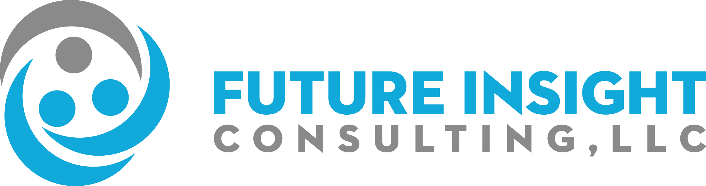 Future Insight Consulting, LLC